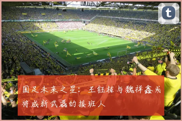 国足未来之星：王钰栋与魏祥鑫或将成新武磊的接班人